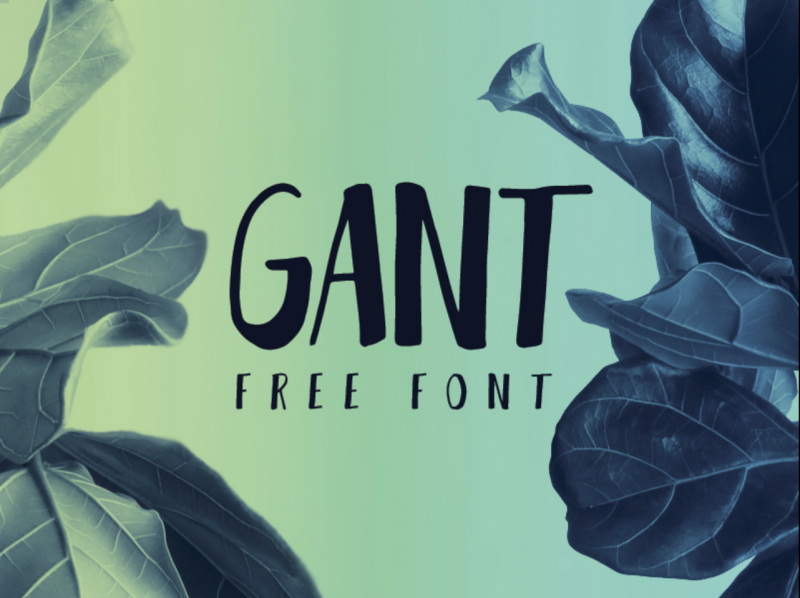 73 Best Free Fonts to Create Stunning Designs in 2018 - Easil