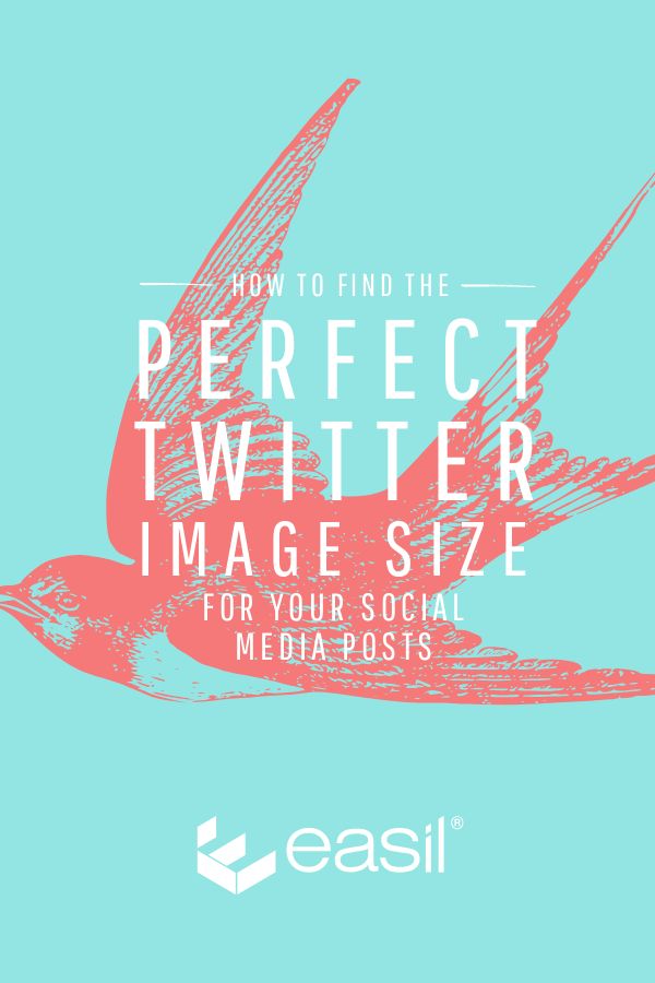 How to Find the Perfect Twitter Image Size for your Social Media Posts